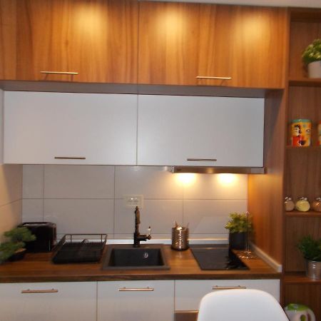 Casa Di Stefano Apartment & Spa ズラティボール エクステリア 写真